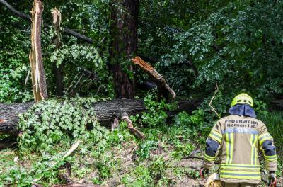 Kernen-Stetten: Massiver Baum faellt nach Unwetterfront auf Landstrasse
